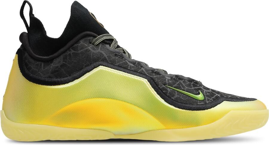 Nike LeBron Sneakers Heren Zwart Mesh Synthetisch