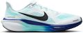Nike Pegasus 41 hardloopschoenen voor heren (straat) Wit - Wit