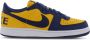 Nike Michigan Lage Sneakers Universiteit Goud Multicolor Dames - Thumbnail 2