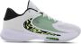 Nike Zoom Freak 4 Greek Coastline Basketbalschoen Multicolor Heren - Thumbnail 3