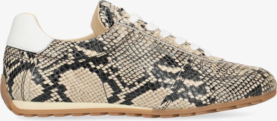 Fred de la Bretoniere Uta Base Sneaker Snake Beige - Foto 3