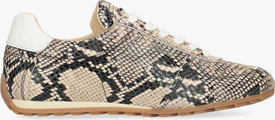Fred de la Bretoniere Uta Base Sneaker Snake Beige - Foto 6