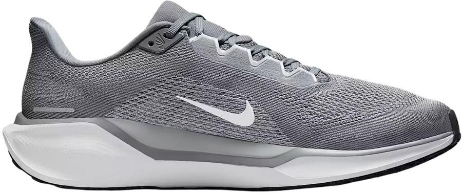 Nike Hardloopschoenen voor heren (straat) Pegasus 41 Grijs- Heren Grijs