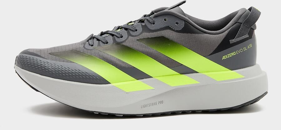Adidas Adizero Evo SL ATR Grijs- Heren Grijs