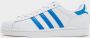 Adidas Originals Superstar Cloud White Blue Bird Cloud White- Dames Cloud White Blue Bird Cloud White - Thumbnail 3