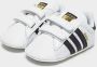 Adidas Originals Superstar Shoes Footwear White Core Black Cloud White Footwear White Core Black Cloud White - Thumbnail 5
