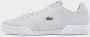 Lacoste Carnaby Cup Grey- Heren Grey - Thumbnail 2