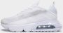 Nike Air Max 2090 (TD) sneakers wit lichtgrijs - Thumbnail 3