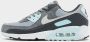Nike Sneakers Air Max 90 Light Pumice Smoke Grey - Thumbnail 2