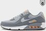 Nike Herenschoenen Air Max 90 Cool Grey Black Sundial Wolf Grey- Heren Cool Grey Black Sundial Wolf Grey - Thumbnail 2