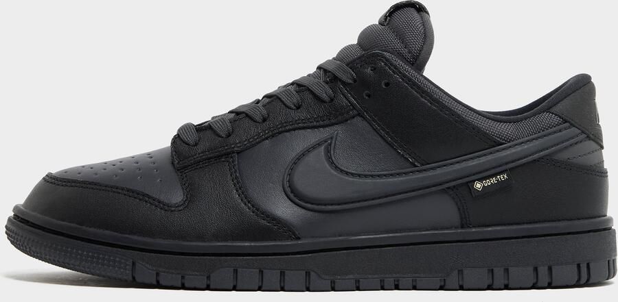 Nike Dunk Low GORE-TEX Zwart- Heren Zwart
