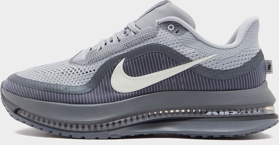 Nike Hardloopschoenen voor heren (straat) Pegasus Premium Grijs- Heren Grijs