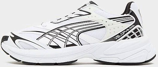 Puma Velophasis White- Heren White