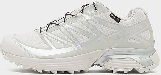 Salomon XT-Pathway GORE-TEX Grey- Dames Grey