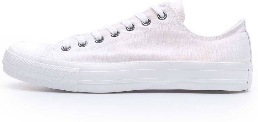 Converse All Star Ox White White