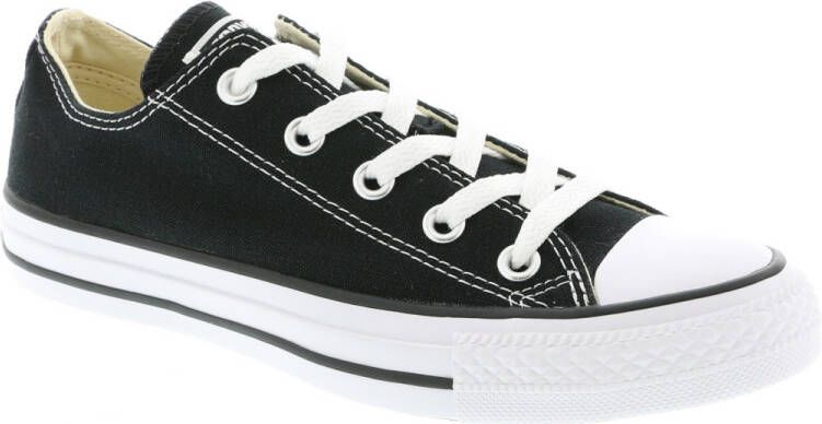 Converse Sneakers