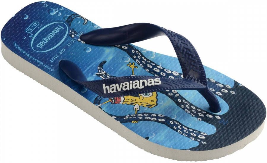 Havaianas Slippers