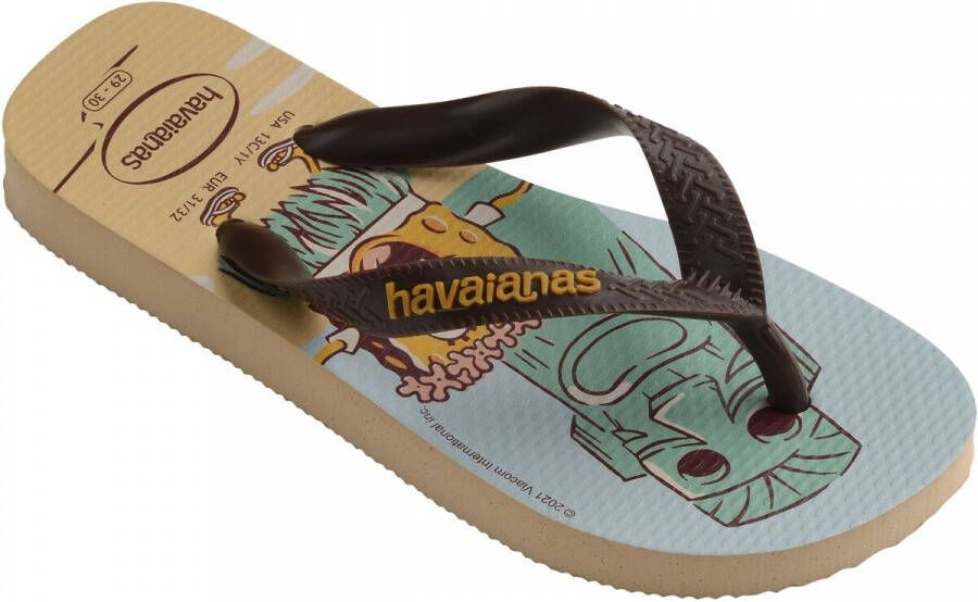 Havaianas Slippers