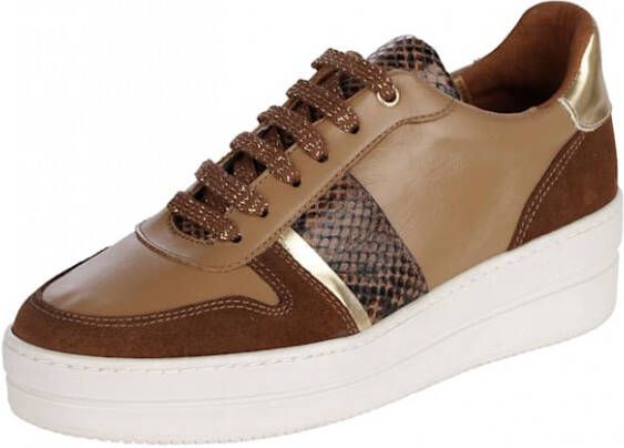 Alba moda Sneaker met slangenaccent Cognac Goudkleur