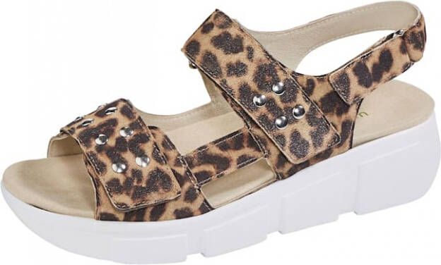 Waldläufer Donna Scarpe Da Ginnastica Leopardate: Pelle Scamosciata E Suola Leggera, Look Unico