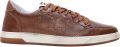 2STAR Sneaker Week Star - Bruin