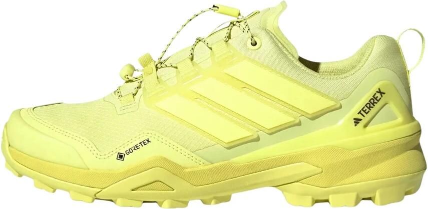 Adidas Terrex Heren Skychaser GTX Schoenen