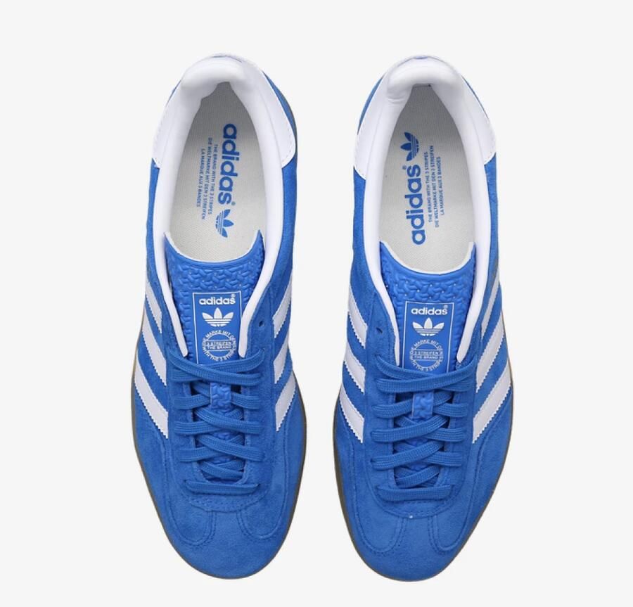 Adidas Originals Gazelle Indoor Dames Blue Bird Cloud White Blue Bird- Dames Blue Bird Cloud White Blue Bird - Foto 3