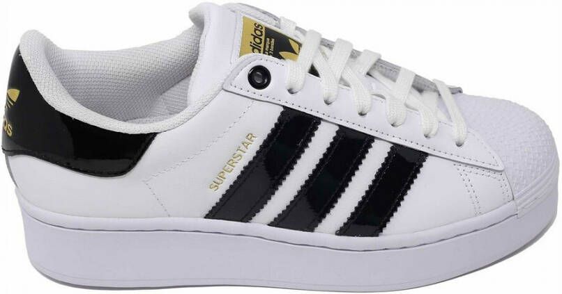 Fotoelektrisch Grillig thuis Adidas Superstar Bold W Dames Sneakers Ftwr White Core Black Gold Met -  Schoenen.nl