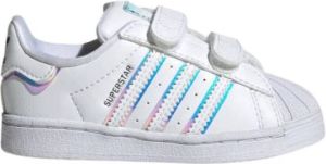 Adidas Superstar Irdscnt Baby Schoenen