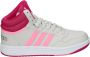 Adidas Perfor ce Hoops Mid Schoenen - Thumbnail 1