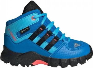 Adidas Terrex MID GTX boots Adidas Blauw Heren