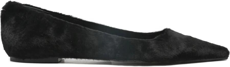 Aeyde Cassy Pointed-Toe Ballerina's