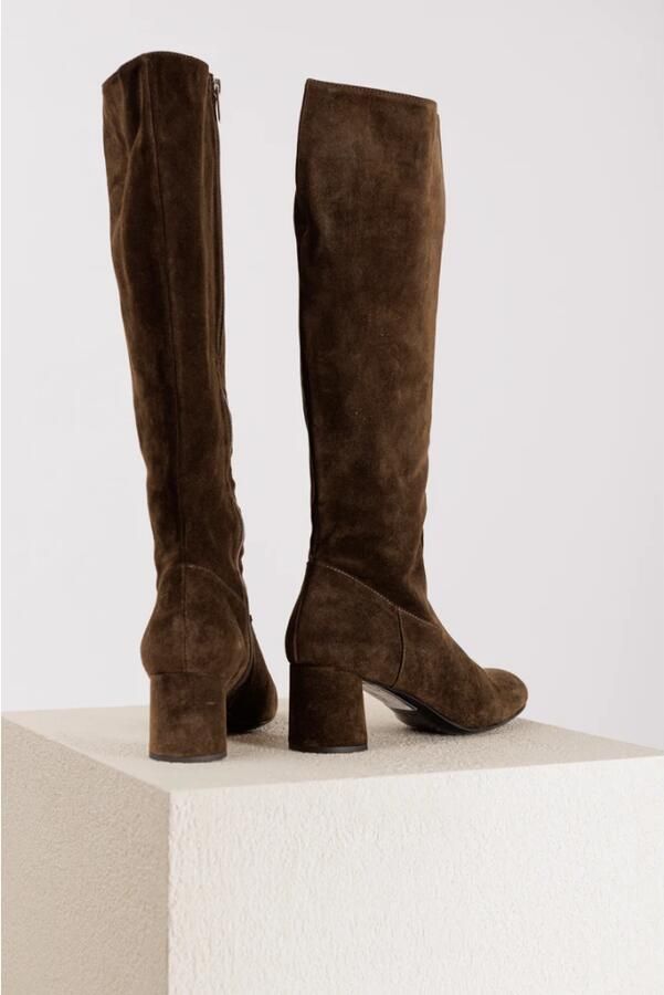 AGL Bos Suede Rits Laars 4 5cm Hak Bos Suede Rits Laars 4 5cm Hak Bos Suede Rits Laars 4 5cm Hak Bos Suede Rits Laars 4 5cm Hak