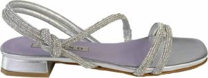 Albano Flat Sandals Grijs Dames