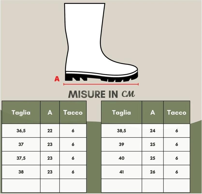 Alexander McQueen Chique leren laarzen voor elegante stappen