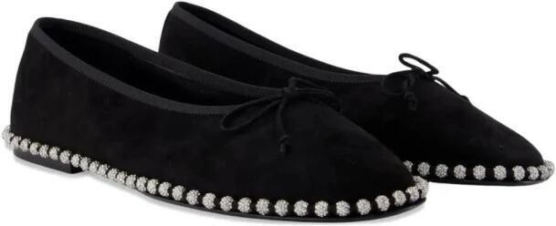 Alexander Wang Ballerina's met versierde spitse neus - Foto 2