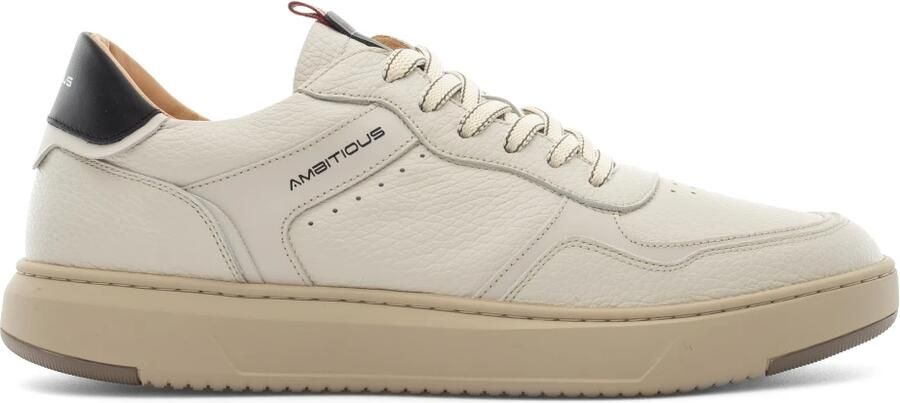 Ambitious Aktif Panel Low-Top