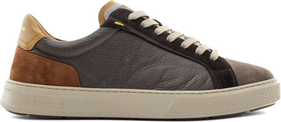 Ambitious Anopolis Lace-up Sneaker