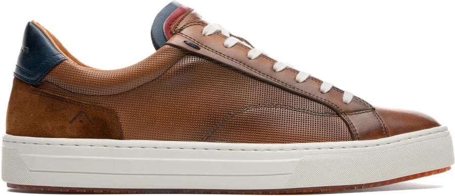 Ambitious Anopolis Vetersneaker