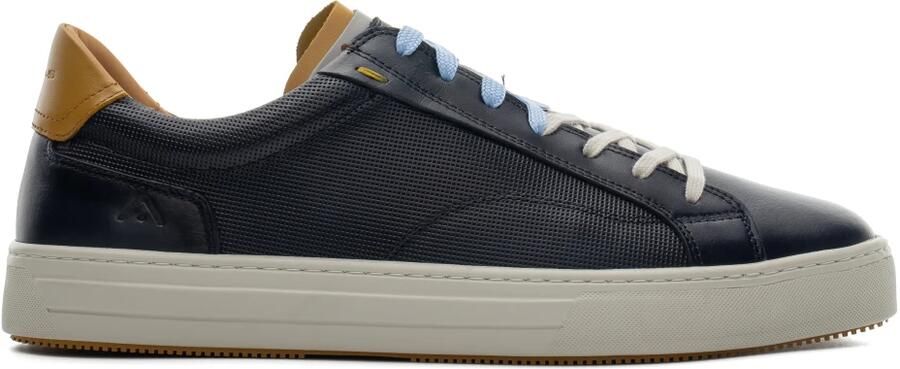 Ambitious Anopolis Vetersneaker