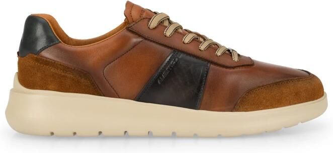 Ambitious Hover Panel Sneaker