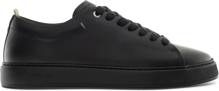 Ambitious Lewis Minimal Sneaker