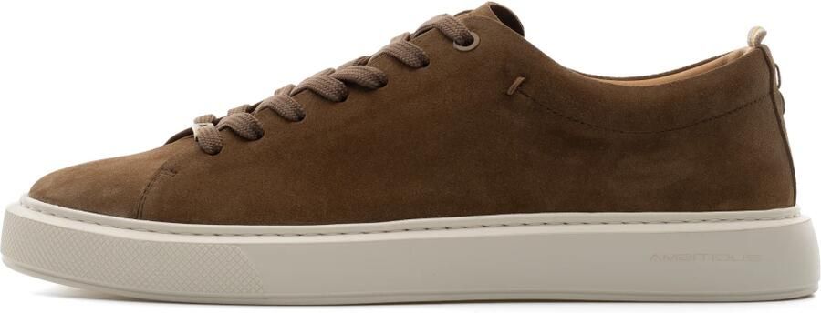 Ambitious Lewis Minimal Sneaker