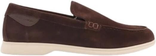 Ambitious Moccasin