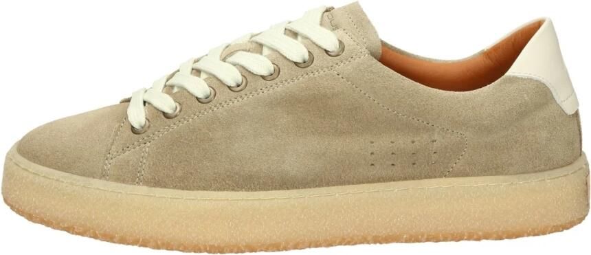 Ambitious Sneakers Basse