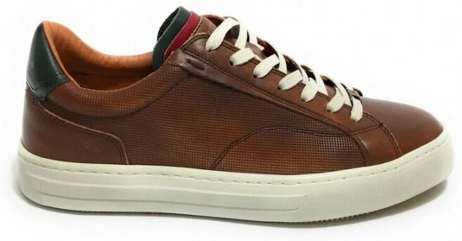 Ambitious Scarpa 11218 Us22am16 leather sneakers Bruin