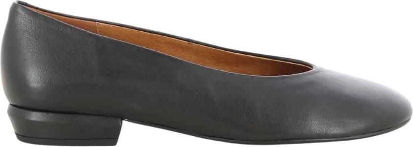 Angel Alarcon Ballerinas