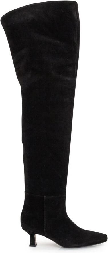 Anna F. Hoge Laars met Hak