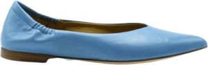 Anna F. Leer dansers Blauw Dames