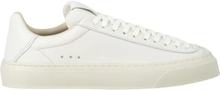 Aqua Alta Doge Sneaker